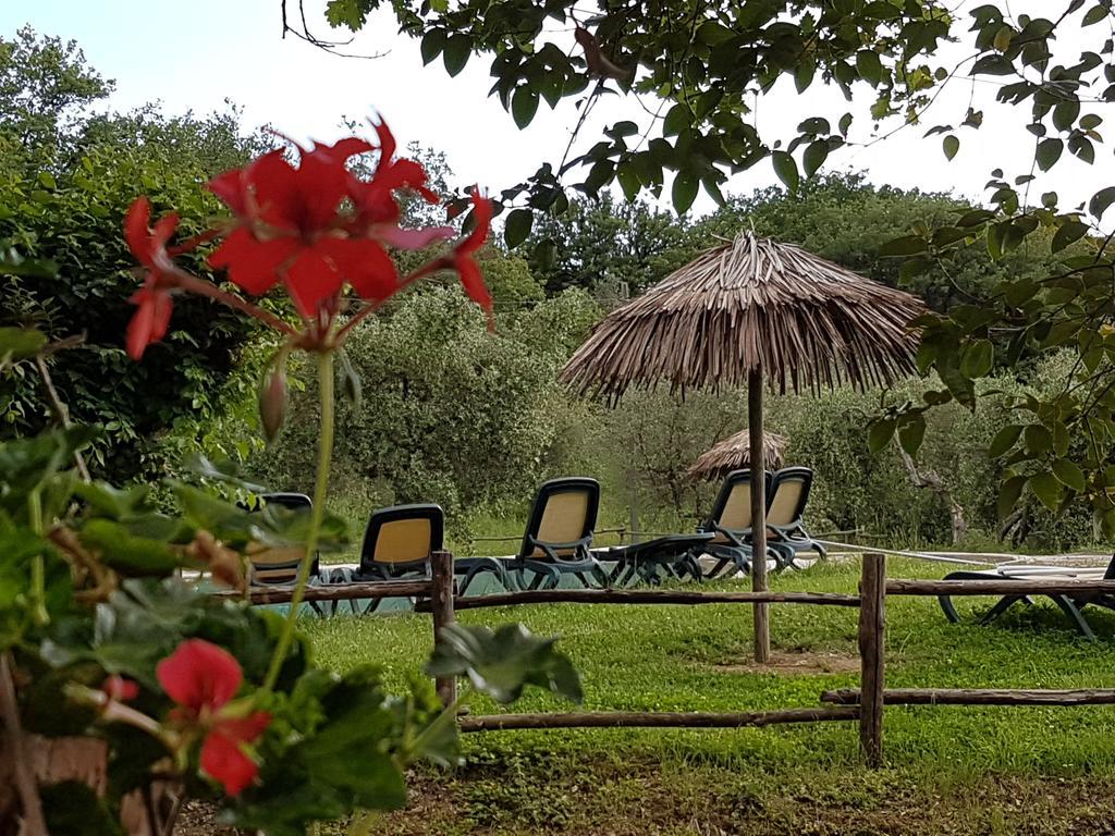 Tenuta Col Di Sasso Скарлино Екстериор снимка