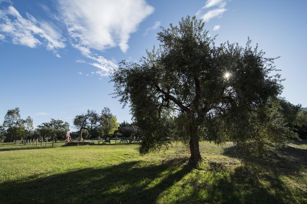 Tenuta Col Di Sasso Скарлино Екстериор снимка