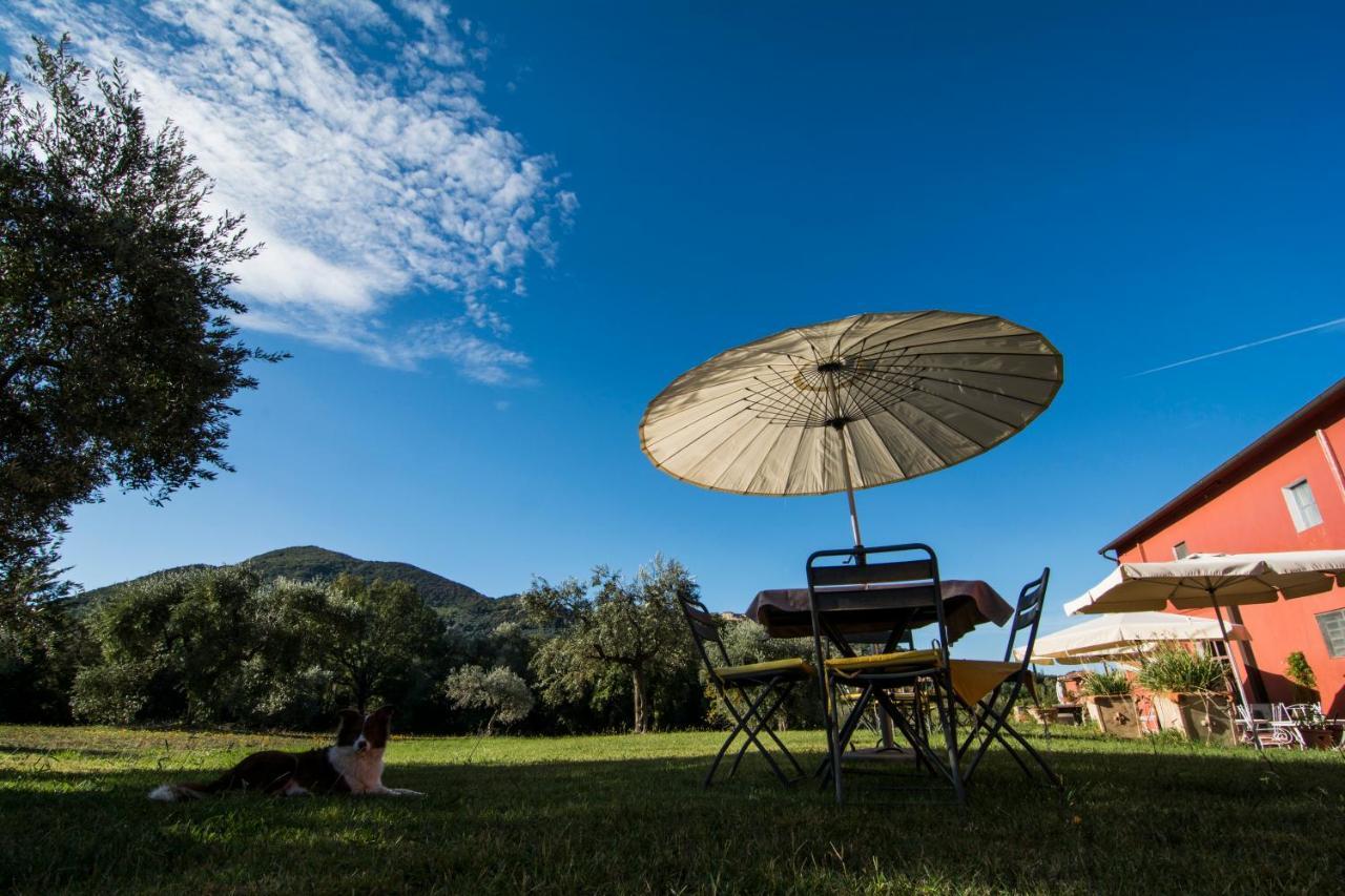 Tenuta Col Di Sasso Скарлино Екстериор снимка