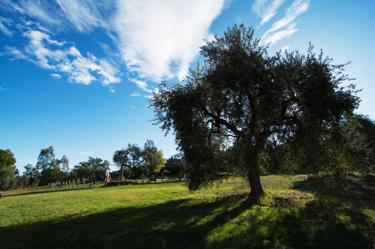 Tenuta Col Di Sasso Скарлино Екстериор снимка
